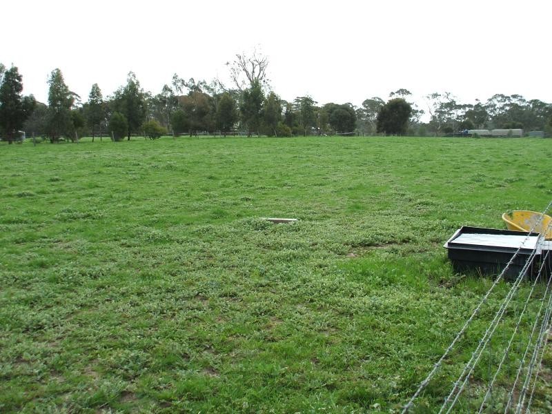 Lot 101, Frances Road, Bordertown SA 5268