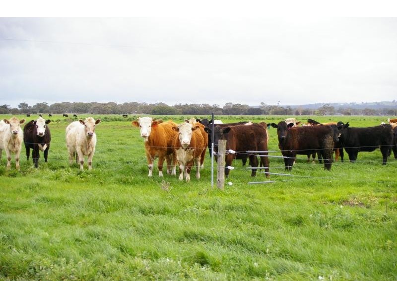 CHETWYND LANE & MILLICENT/PENOLA RD, Mount Mcintyre SA 5279