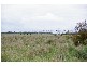 CHETWYND LANE & MILLICENT/PENOLA RD, Mount Mcintyre SA 5279