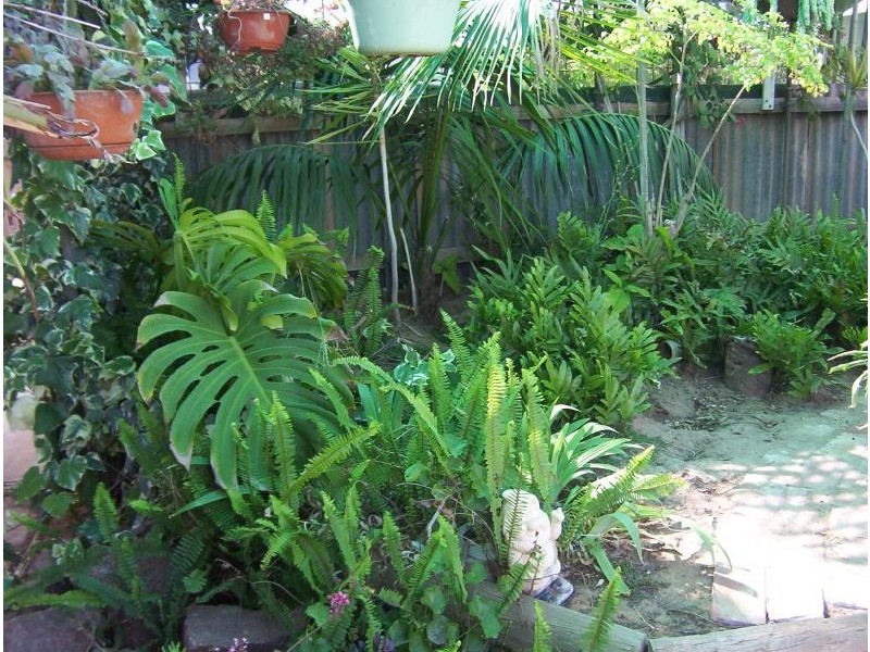 LOT 58,105/30 THOMAS STREET, Minnipa SA 5654