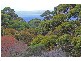 LOT 217 BAYVIEW ROAD, American River SA 5221