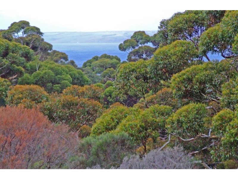 LOT 217 BAYVIEW ROAD, American River SA 5221