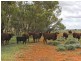 HENBURY Station, 125 kms south of, Alice Springs NT 0872