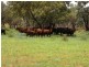 HENBURY Station, 125 kms south of, Alice Springs NT 0872