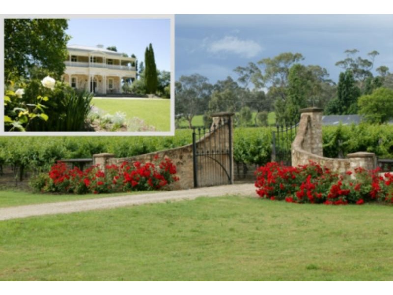 Lot 18-20 / Riddoch Hwy, Padthaway SA 5271