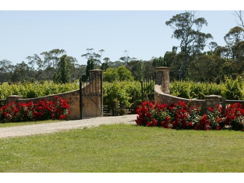 Lot 18-20 / Riddoch Hwy, Padthaway SA 5271