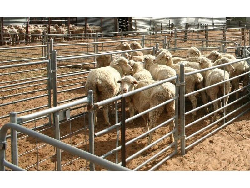 Pooncarie NSW 2648