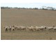 Pooncarie NSW 2648