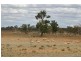 Pooncarie NSW 2648