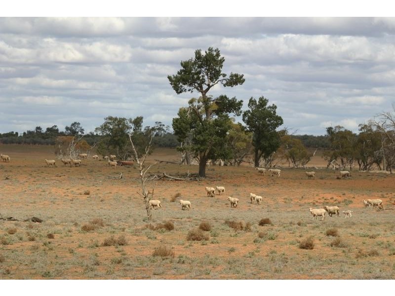 Pooncarie NSW 2648