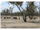 Pooncarie NSW 2648
