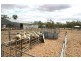 Pooncarie NSW 2648