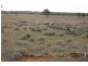 Pooncarie NSW 2648