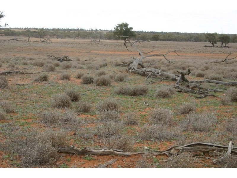 Pooncarie NSW 2648