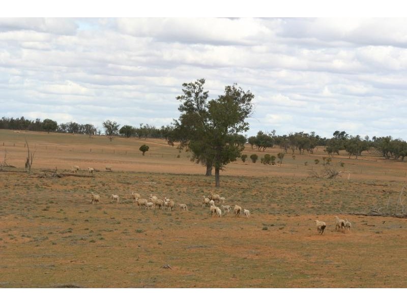 Pooncarie NSW 2648