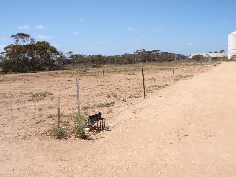 32 Kimba Road, Cowell SA 5602