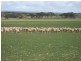 Sutherlands SA 5374