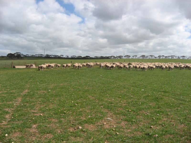 Sutherlands SA 5374
