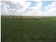 Sutherlands SA 5374