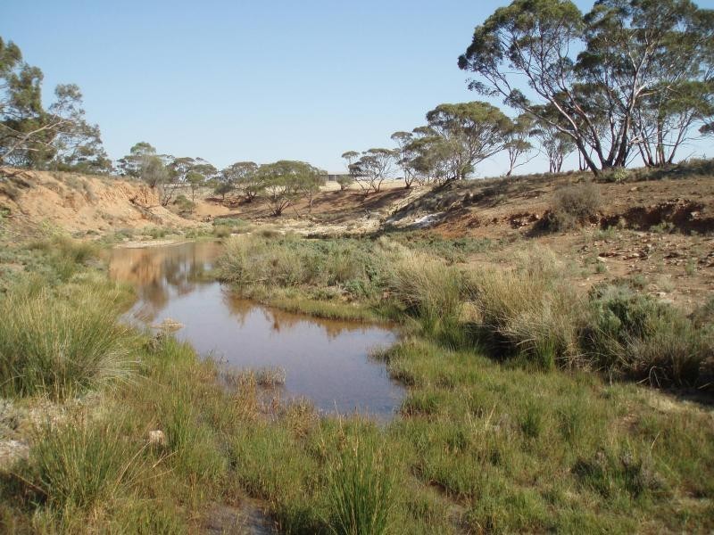 Brownlow SA 5374