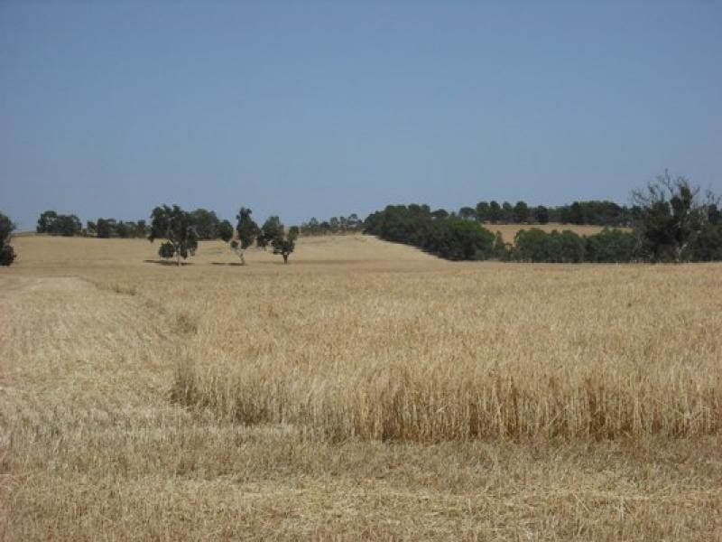 Wirrega SA 5267
