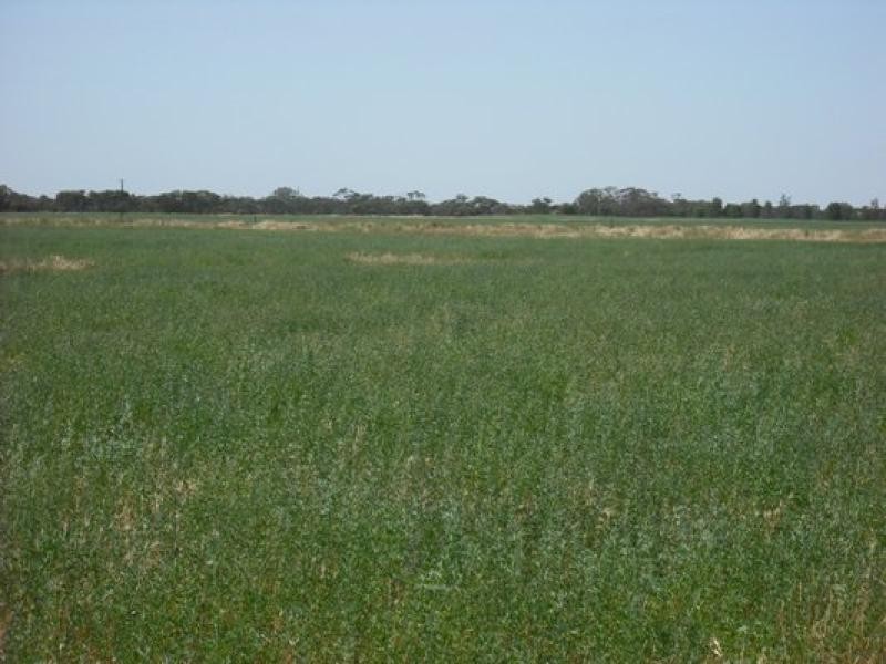 Wirrega SA 5267