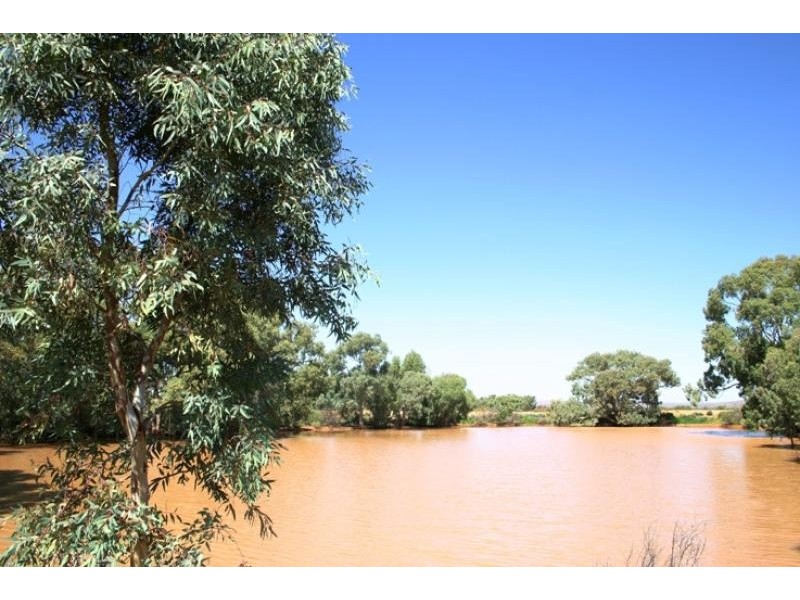 Kalabity Station – 56 km North West, Olary SA 5440