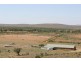 Kalabity Station – 56 km North West, Olary SA 5440