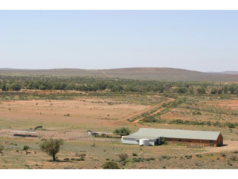 Kalabity Station – 56 km North West, Olary SA 5440