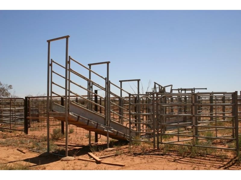 Kalabity Station – 56 km North West, Olary SA 5440