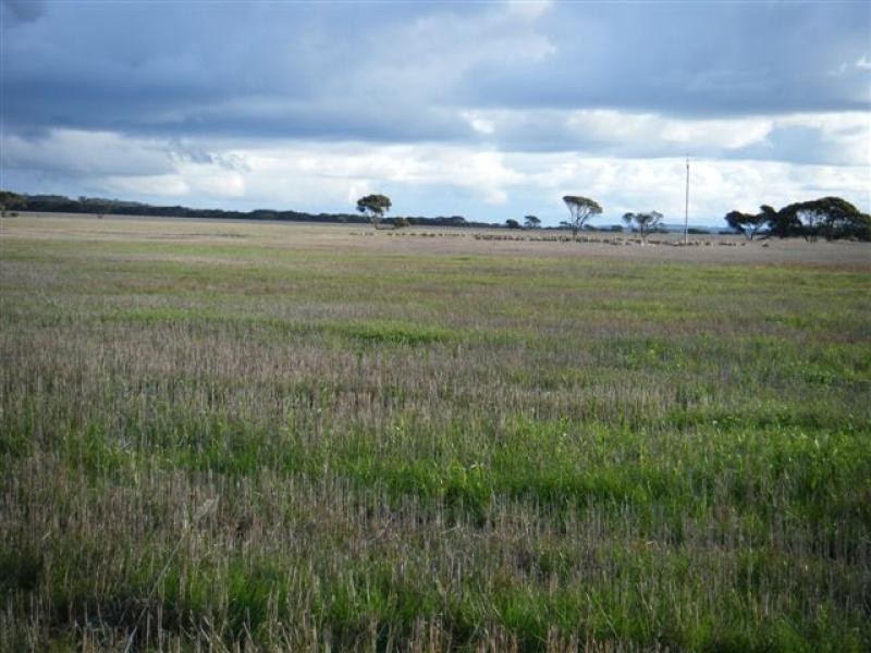 14 km South Kingsote, Kingscote SA 5223