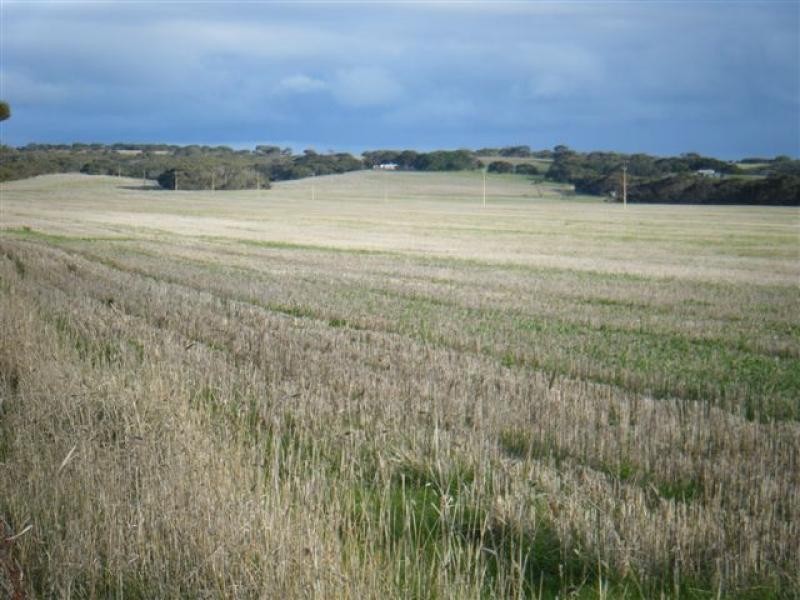 14 km South Kingsote, Kingscote SA 5223