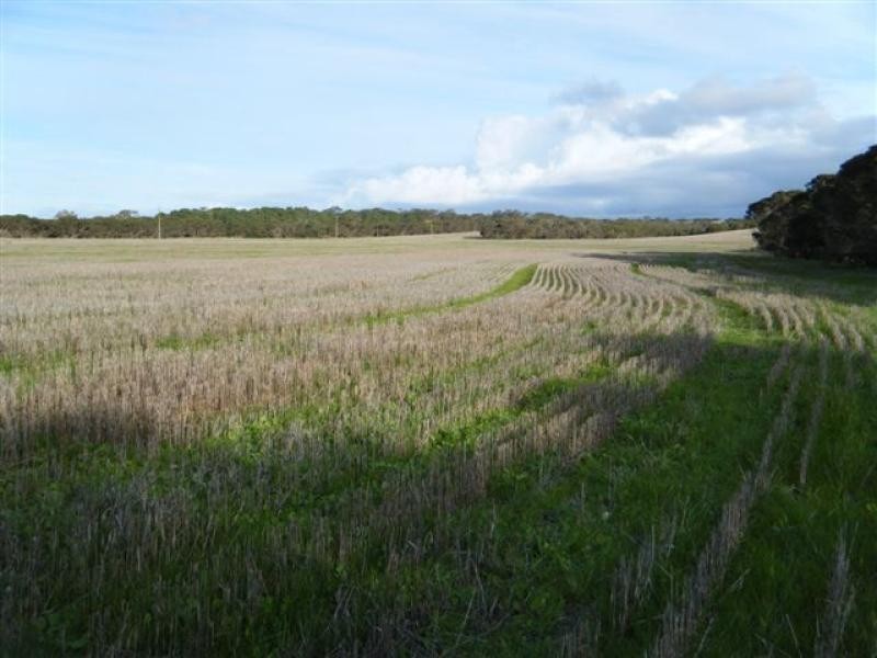 14 km South Kingsote, Kingscote SA 5223