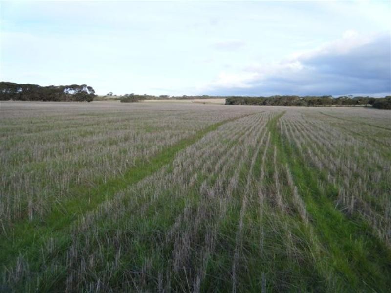 14 km South Kingsote, Kingscote SA 5223