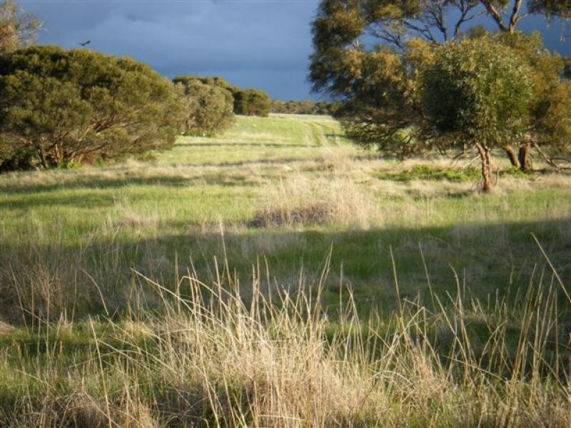 14 km South Kingsote, Kingscote SA 5223