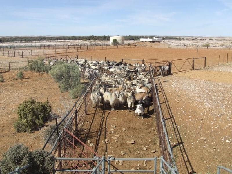 210kms north east, Broken Hill NSW 2880