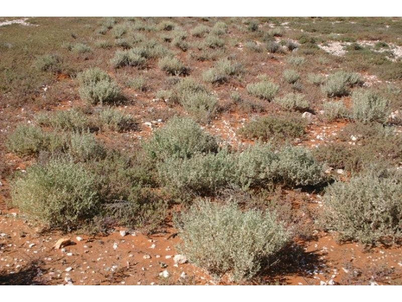 210kms north east, Broken Hill NSW 2880