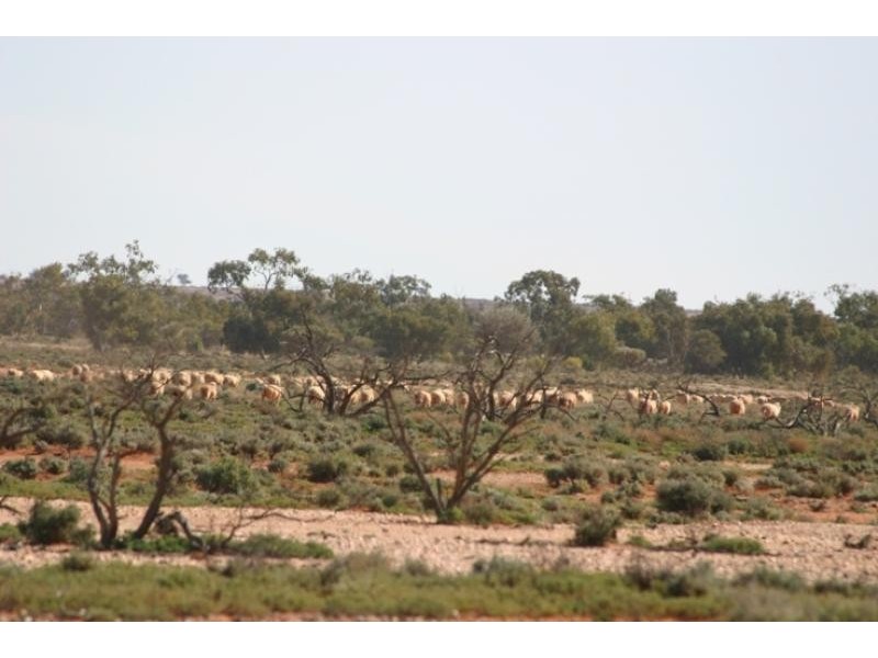 210kms north east, Broken Hill NSW 2880