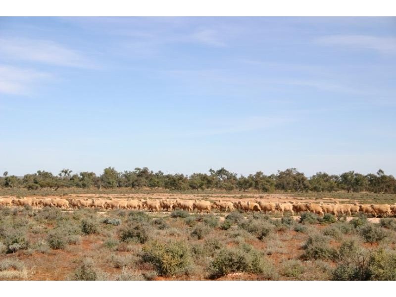 210kms north east, Broken Hill NSW 2880