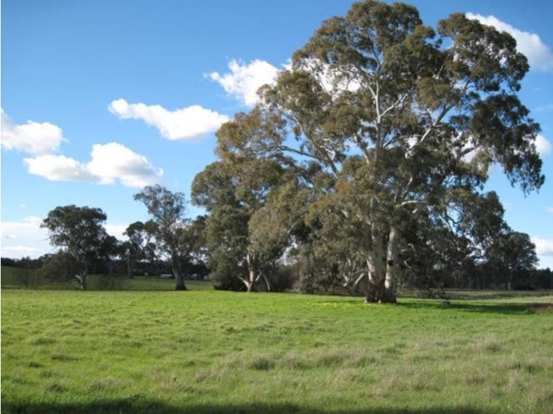 Cockatoo Valley SA 5351