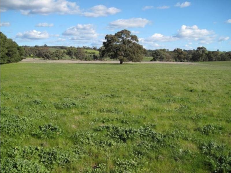 Cockatoo Valley SA 5351