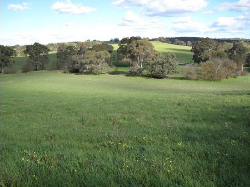 Cockatoo Valley SA 5351