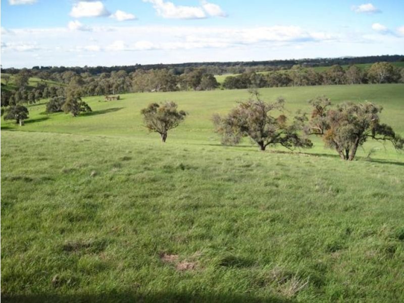 Cockatoo Valley SA 5351