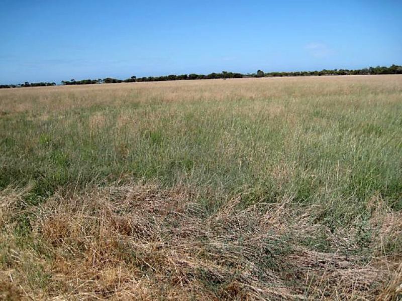 Middle Beach SA 5501