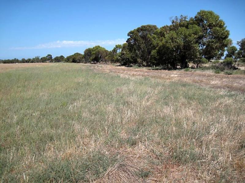 Middle Beach SA 5501