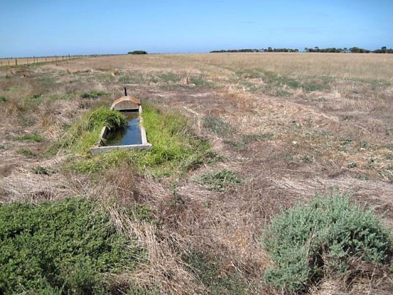 Middle Beach SA 5501