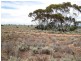 Lot 26/ McKay Road, Blanchetown SA 5357