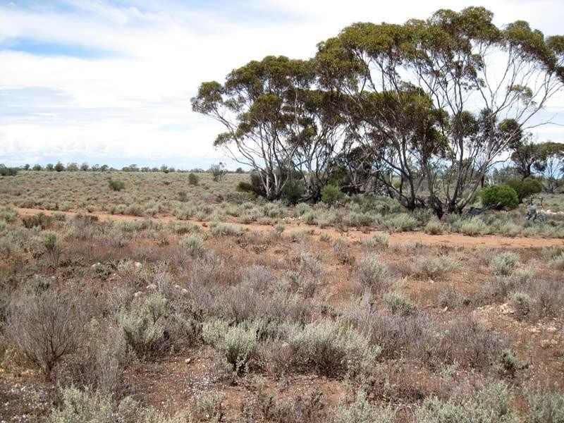 Lot 26/ McKay Road, Blanchetown SA 5357