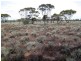 Lot 26/ McKay Road, Blanchetown SA 5357