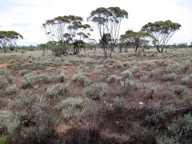Lot 26/ McKay Road, Blanchetown SA 5357
